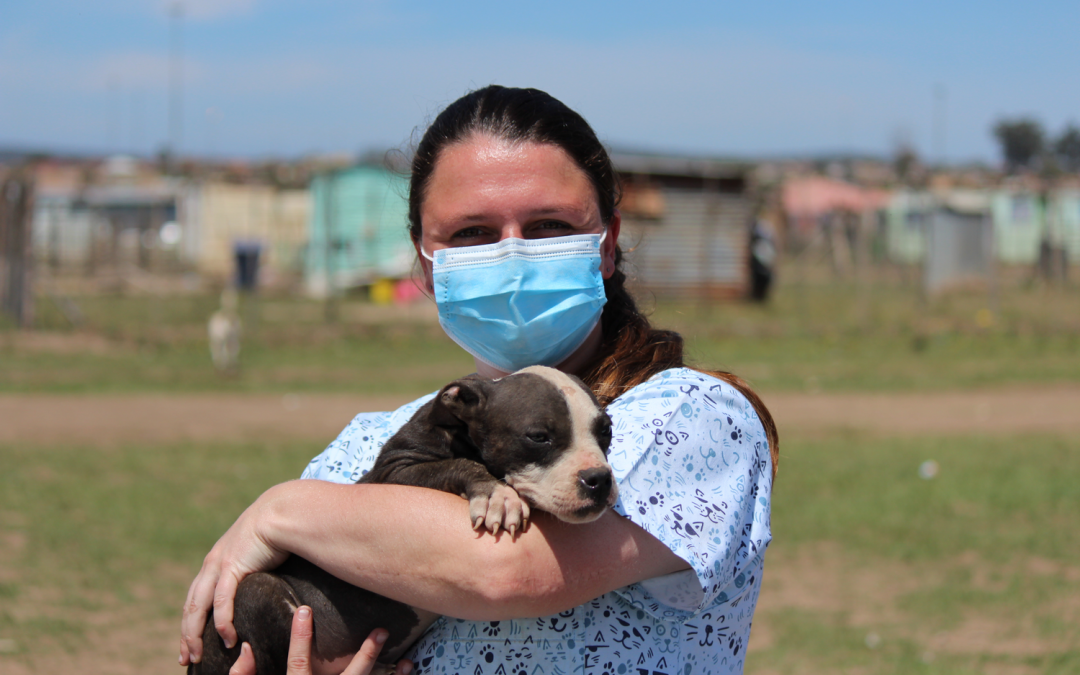 February is World Spay and Neuter Awareness Month